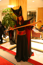 Katsucon 19 - Saturday 502