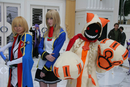 Katsucon 16 - Saturday 250